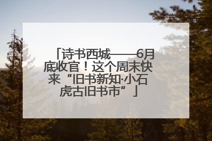 诗书西城——6月底收官！这个周末快来“旧书新知·小石虎古旧书市”